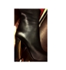 Изображение Кожаные cапоги Ferragamo